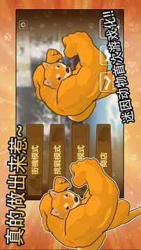 動物之鬪游戲截圖1