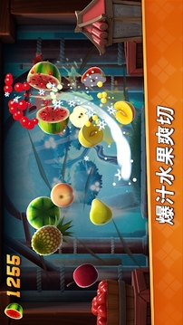 Fruit Ninja2游戲截圖3