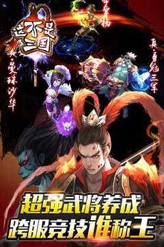 這不是三國(guó)游戲截圖3