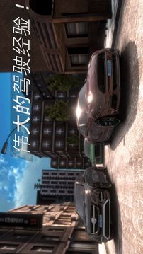 真實(shí)停車場(chǎng)游戲截圖3