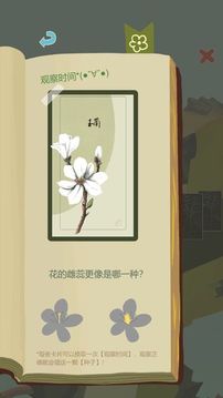 老農(nóng)種樹游戲截圖4
