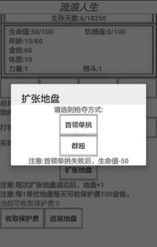 流浪人生游戲截圖2