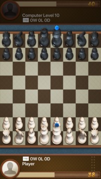 國(guó)際象棋達(dá)人游戲截圖2
