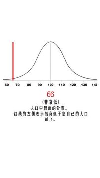 智力專業(yè)游戲截圖1