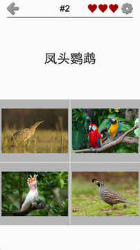 動物動物學(xué)測驗為大家游戲截圖4