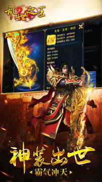 亂世之王萬人攻城游戲截圖1