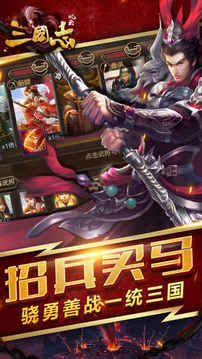 風(fēng)云三國志之少年戰(zhàn)紀攻城國戰(zhàn)熱血游戲截圖5