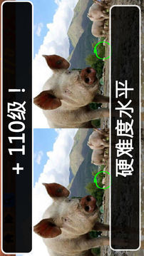 發(fā)現(xiàn)差異完成包游戲截圖1