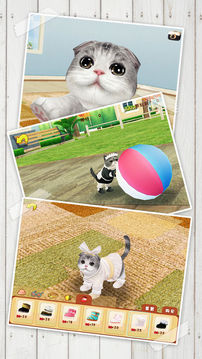 心动小猫可爱宠物养成游戏截图2