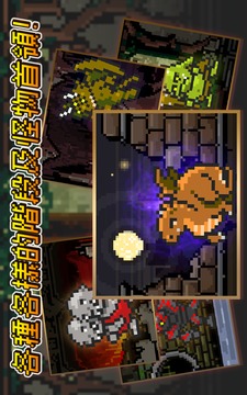進攻的勇士Advanced游戲截圖5
