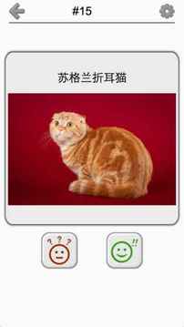 貓品種問答游戲截圖1