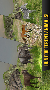 SafariAdventureHuntingSeasonAfrica3D2016游戲截圖1