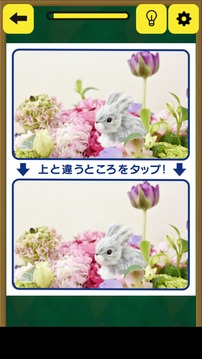 まちがい探し検定游戲截圖3
