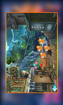 BestEscapeGame586PugilismKangarooRescueGame游戲截圖2