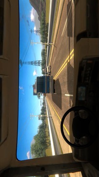 TruckSimulator2020Driverealtrucks游戲截圖3
