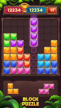 BlockPuzzle2020RelaxGame游戲截圖2