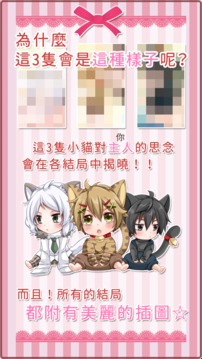 召喚幸福的小貓　養(yǎng)成游戲截圖1