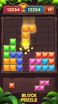 BlockPuzzle2020RelaxGame游戲截圖5
