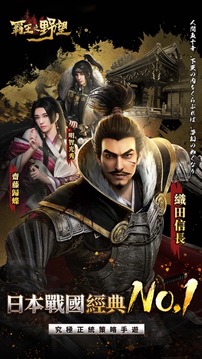 霸王之野望游戲截圖5