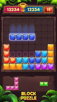 BlockPuzzle2020RelaxGame游戲截圖3