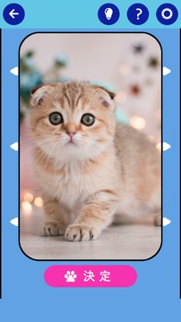 そろえてにゃんにゃんクイズ游戲截圖1