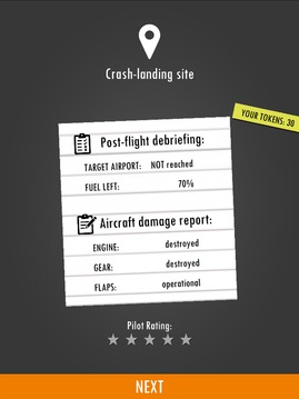 FlightSimulator2d游戲截圖1