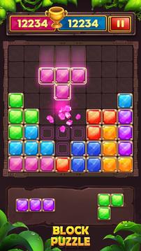 BlockPuzzle2020RelaxGame游戲截圖4