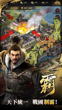 霸王之野望游戲截圖4