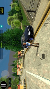 RealCarParking3D游戲截圖2