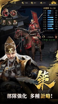 霸王之野望游戲截圖1