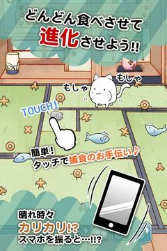 これはにゃんこですか―無料で游べる放置系育成ゲーム游戲截圖2
