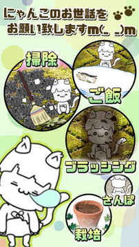 にゃんこ日和?ほのぼの子貓育成ゲーム?游戲截圖2