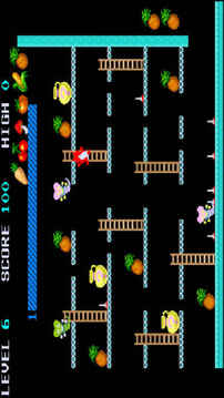 Raccoon游戲截圖3