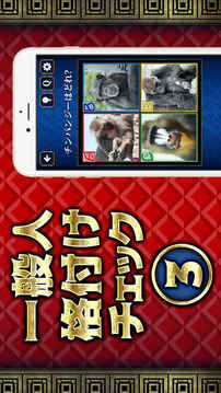 一般人秘格付けチェック3游戲截圖2