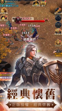 不朽戰(zhàn)紀(jì)游戲截圖2