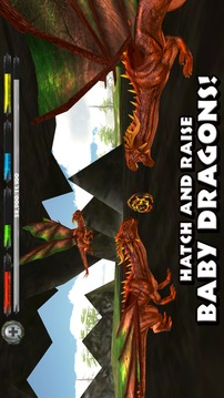 WorldofDragons3DSimulator游戲截圖1