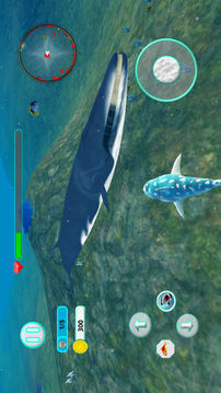 鯊魚攻擊進化3DPro游戲截圖2