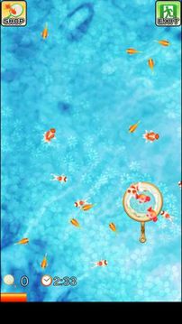 正宗撈金魚(yú)游戲截圖3