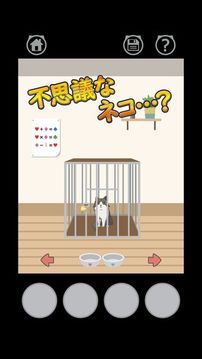 CAT?不思議な貓の脫出ゲーム?游戲截圖3