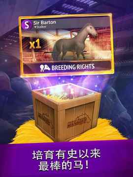 2018年度賽馬經(jīng)理游戲截圖3