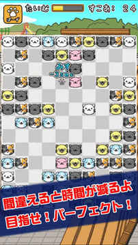 ねこあわせ游戲截圖3