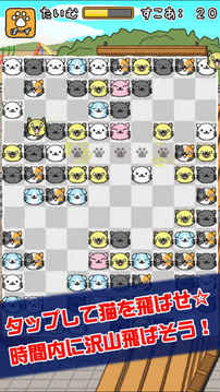 ねこあわせ游戲截圖4
