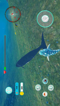 鯊魚攻擊進化3DPro游戲截圖1