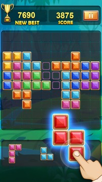 BlockPuzzlesRotate10x10游戲截圖1