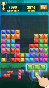 BlockPuzzlesRotate10x10游戲截圖2