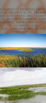 綠洲游戲截圖1