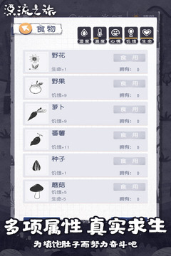 漂流之旅游戲截圖2