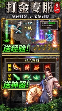 良心傳奇游戲截圖5