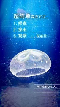 養(yǎng)育水母的治愈游戲截圖4