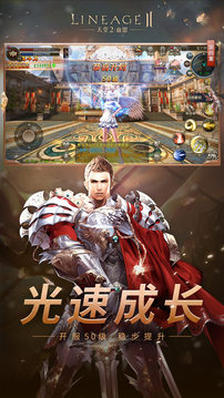 天堂2血盟游戲截圖1